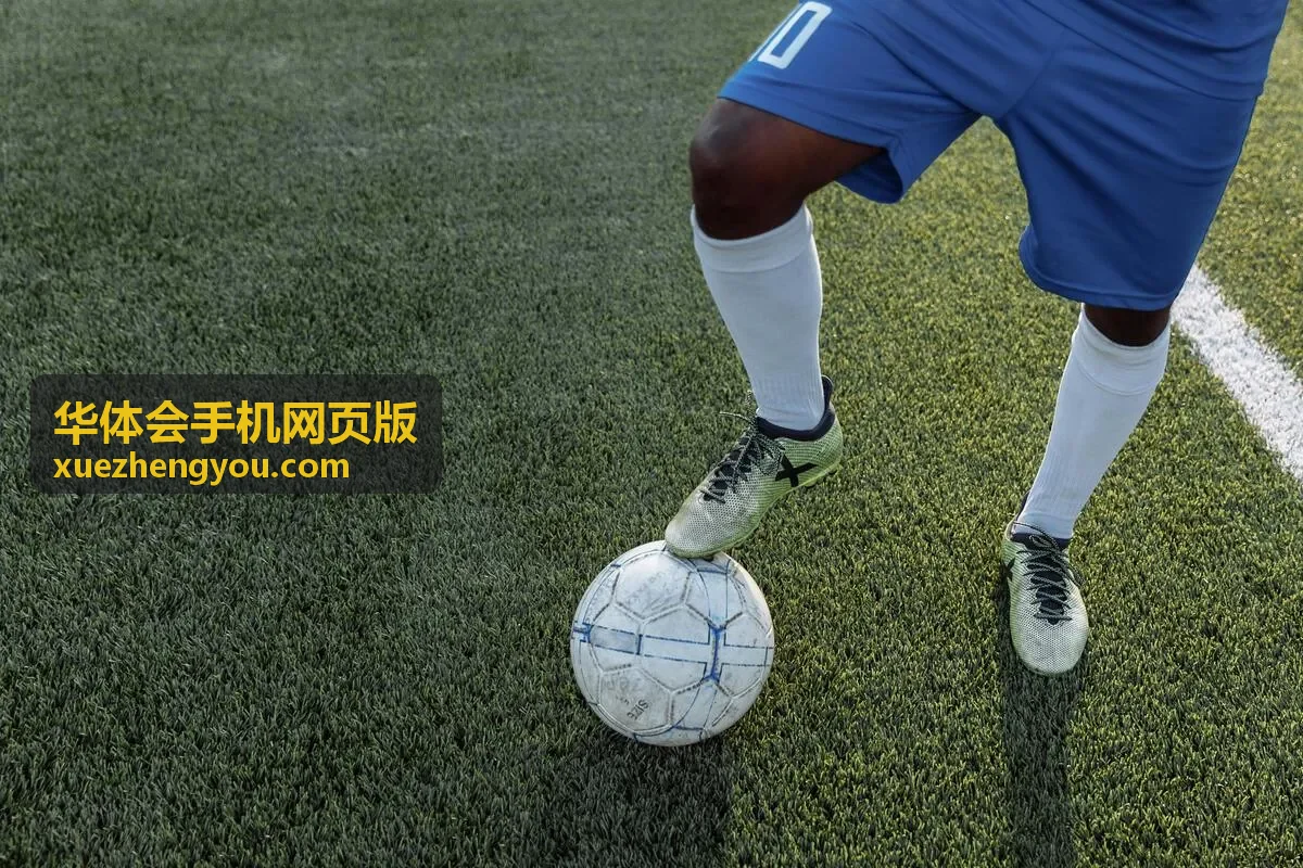 华体会手机网页版日常查阅数据分组的移动端界面