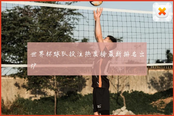 世界杯球队投注热度榜最新排名出炉