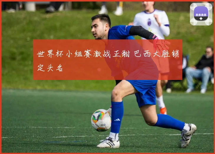 世界杯小组赛激战正酣 巴西大胜锁定头名