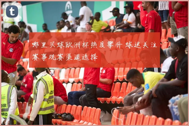 哪里买球欧洲杯热度攀升 球迷关注赛事观赛渠道选择