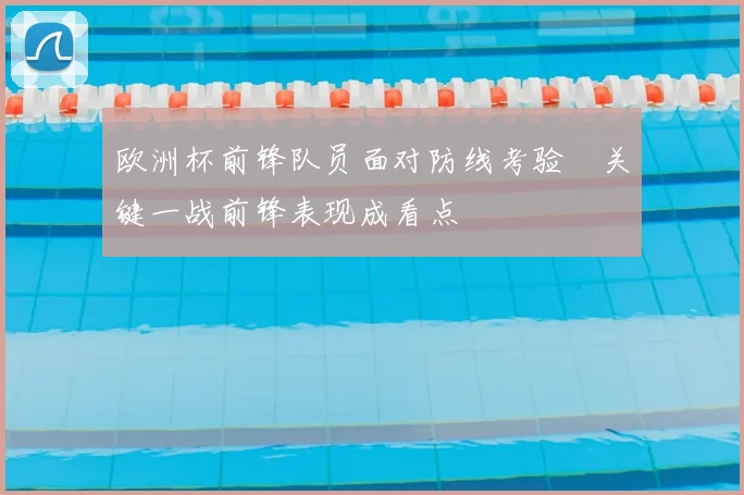 欧洲杯前锋队员面对防线考验 关键一战前锋表现成看点