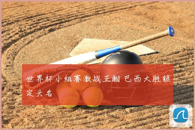 世界杯小组赛激战正酣 巴西大胜锁定头名