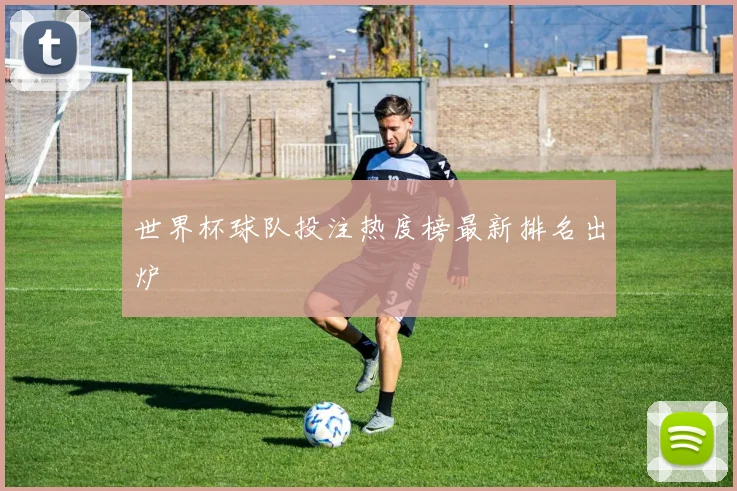 世界杯球队投注热度榜最新排名出炉